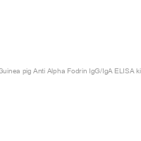 Guinea pig Anti Alpha Fodrin IgG/IgA ELISA kit